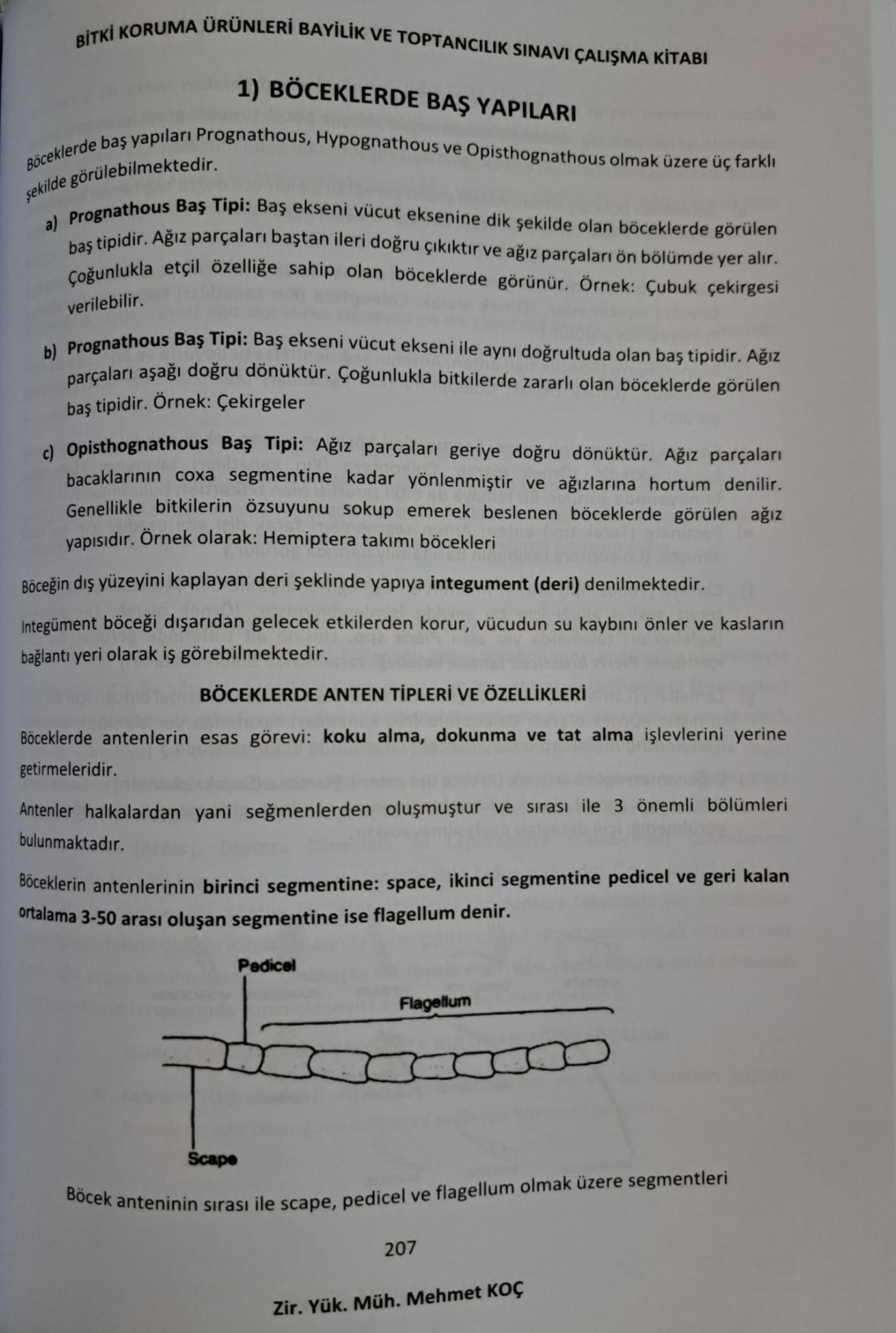 BKÜ%20ÇALIŞMA%20KİTABI%20-%20BİTKİ%20KORUMA%20ÜRÜNLERİ%20BAYİ%20VE%20TOPTANCILIK%20SINAVI%20ÇALIŞMA%20KİTABI